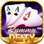 rummy yes vip icon
