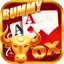 new rummy 51 bonus
